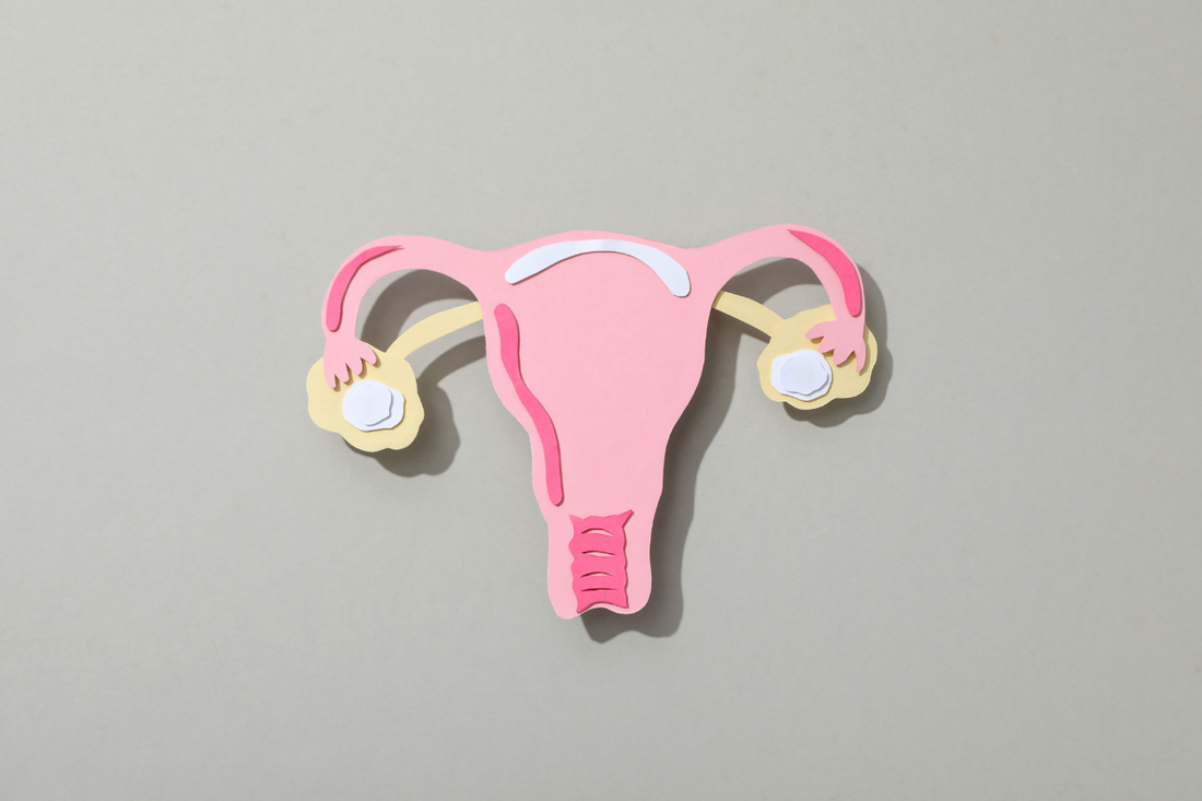 06. November 2025 Thema Vaginalgesundheit