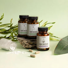 Essentials_Bundle_Übersicht