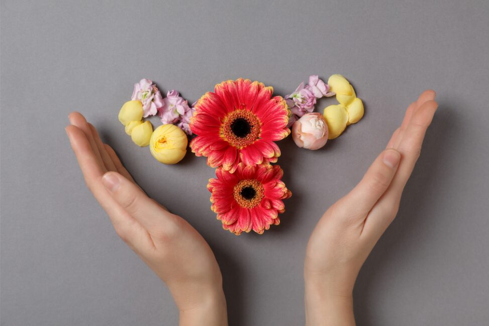 Eine Gebärmutter aus Blumen dargestellt, daneben zwei Hände