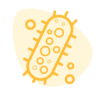 YELLOW-ICON-02.png