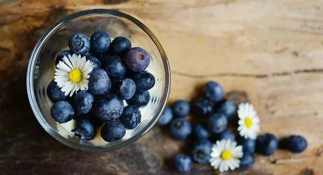 Heidelbeerge im Glas als gesunde Ernährung bei Östrogendominanz