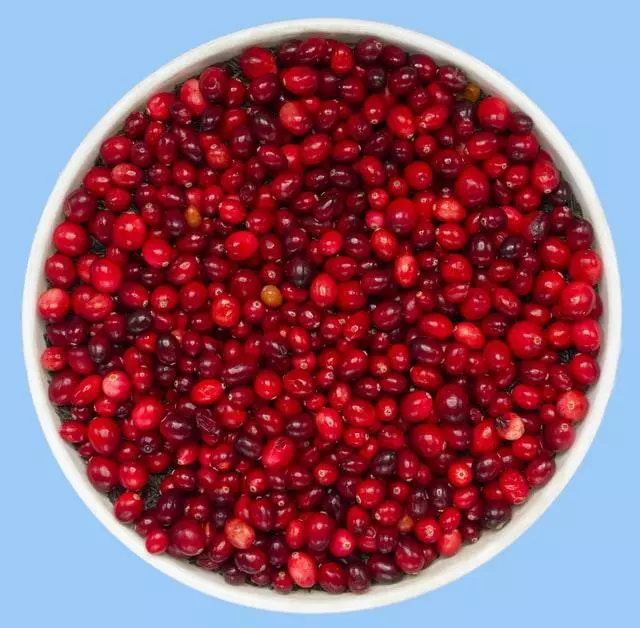 Cranberries schützen die Blase