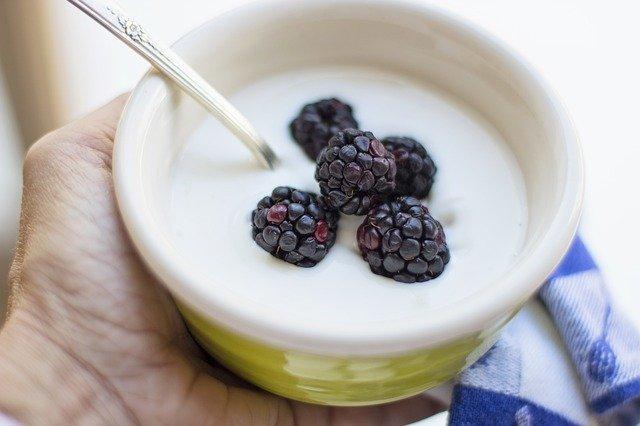 Joghurt für die Darm Bakterien