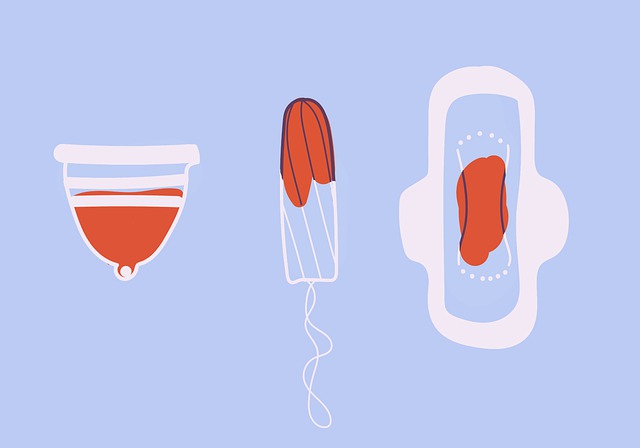 Menstruation-Zyklus