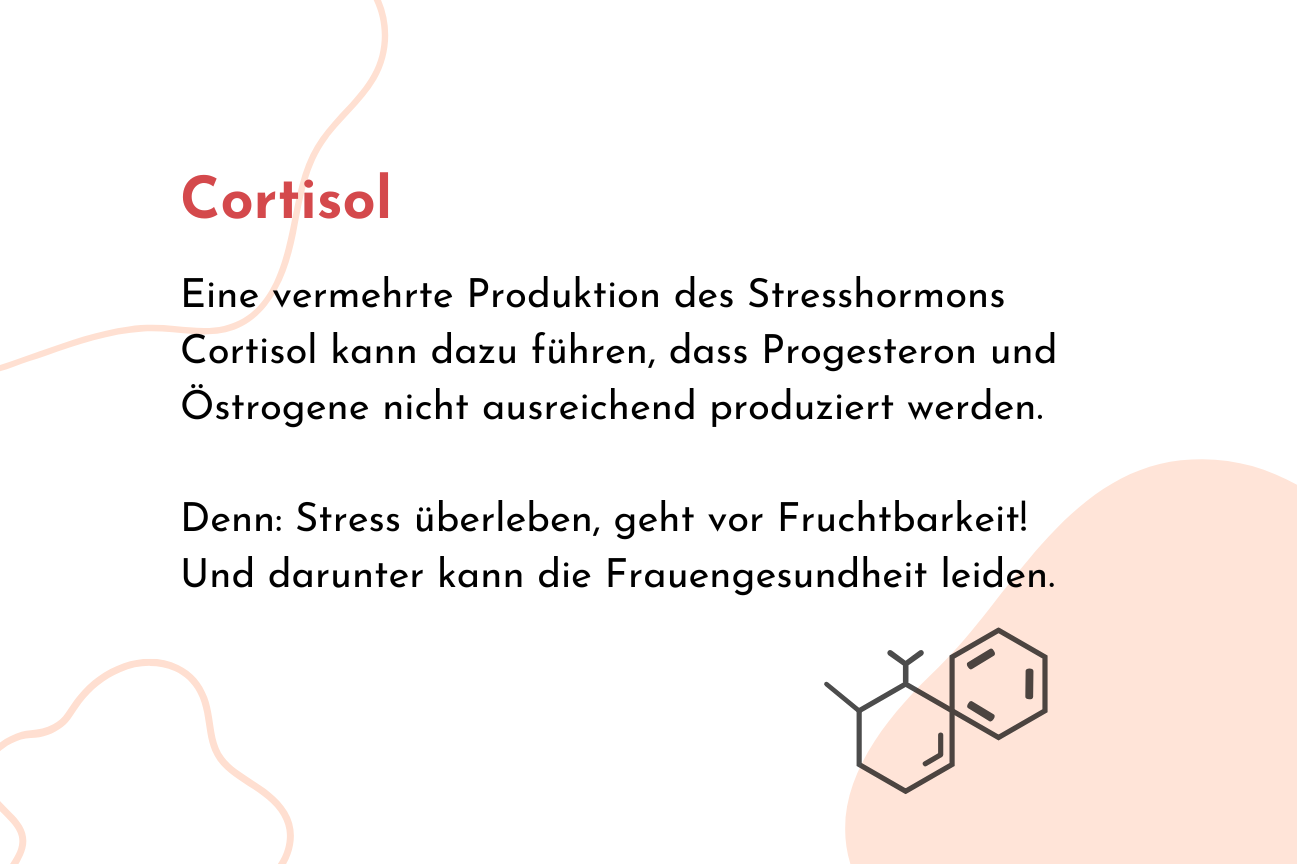 Stresshormon Cortisol kurz erklärt